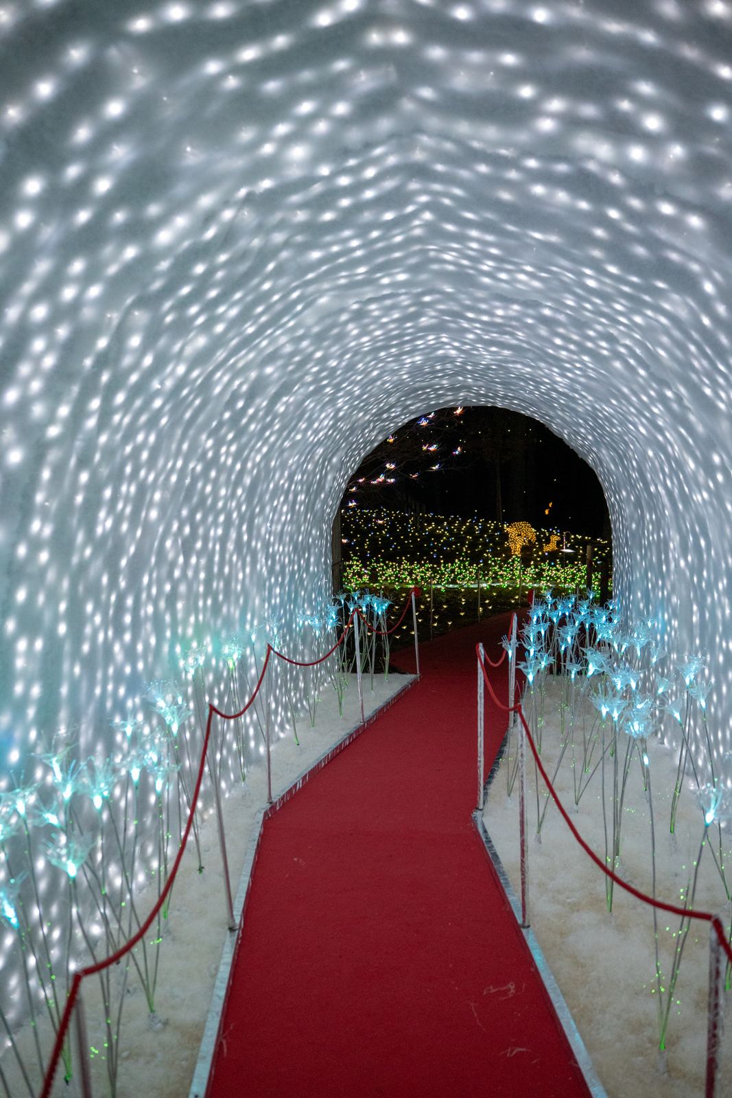 Il tunnel di luci d'argento